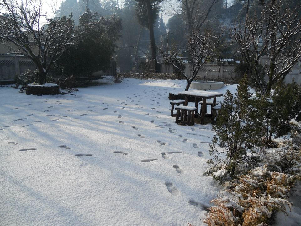 Rewa Retreat Nainital Exterior foto